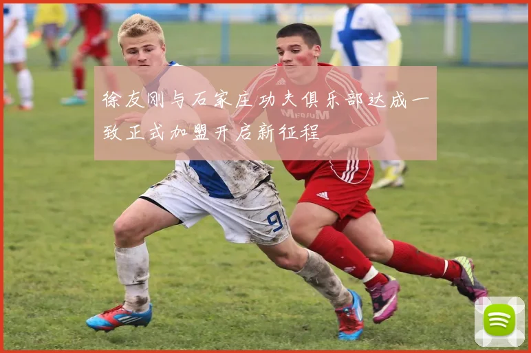 徐友刚与石家庄功夫俱乐部达成一致正式加盟开启新征程