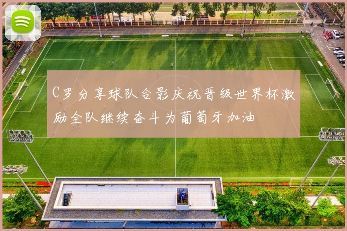 C罗分享球队合影庆祝晋级世界杯激励全队继续奋斗为葡萄牙加油