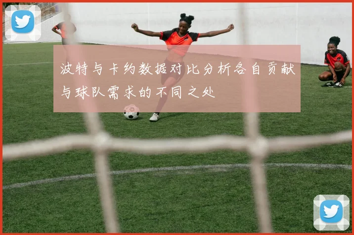 波特与卡约数据对比分析各自贡献与球队需求的不同之处